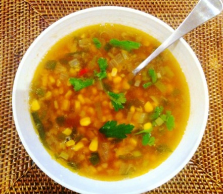 https://thepaddingtonfoodie.com/2012/11/14/spicy-corn-and-ginger-soup-with-chillies-shallots-and-home-made-chicken-stock/