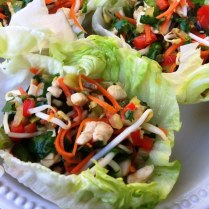 https://thepaddingtonfoodie.com/2013/04/19/the-5-2-challenge-in-the-groove-stir-fried-chicken-vegetable-and-herb-lettuce-cups/