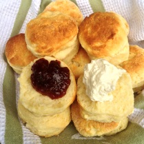 https://thepaddingtonfoodie.com/2013/05/22/bring-a-plate-australias-biggest-morning-tea-freshly-baked-scones-with-jam-and-cream/