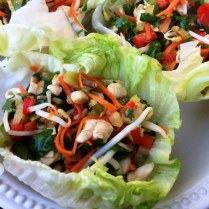 https://thepaddingtonfoodie.com/2013/04/19/the-5-2-challenge-in-the-groove-stir-fried-chicken-vegetable-and-herb-lettuce-cups/