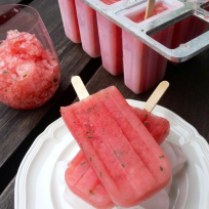 https://thepaddingtonfoodie.com/2013/09/10/the-5-2-challenge-keeping-cool-when-temperatures-soar-watermelon-mint-and-lime-paletas-or-granita/