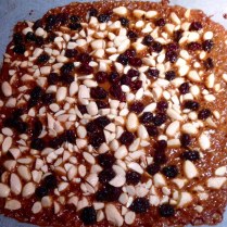 Almond and Cranberry Florentine Slab
