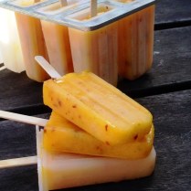 https://thepaddingtonfoodie.com/2013/12/31/the-summer-edition-sunshine-and-happiness-on-a-stick-sweet-and-spicy-mango-lime-and-chilli-paletas/