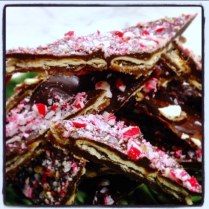 https://thepaddingtonfoodie.com/2013/12/05/incredibly-delicious-insanely-addictive-sweet-and-salty-candy-cane-cracker-toffee/