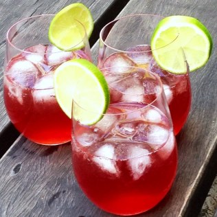 https://thepaddingtonfoodie.com/2013/12/02/eat-fast-and-live-longer-surviving-the-christmas-party-circuit-on-the-5-2-fast-diet-choose-drinks-wisely-cranberry-vodka-on-ice/