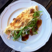 https://thepaddingtonfoodie.com/2014/09/01/eat-fast-and-live-longer-a-5-2-fast-diet-recipe-idea-under-300-calories-chinese-style-egg-omelette/