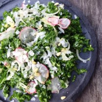 https://thepaddingtonfoodie.com/2015/01/23/eat-fast-and-live-longer-a-5-2-fast-diet-recipe-idea-under-200-calories-tuscan-style-shredded-kale-fennel-and-radish-salad/