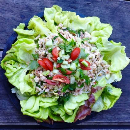 https://thepaddingtonfoodie.com/2015/03/09/eat-fast-and-live-longer-a-5-2-fast-diet-recipe-idea-under-300-calories-larb-gai-thai-chicken-salad/